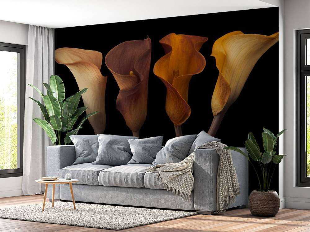 Lirios Calla