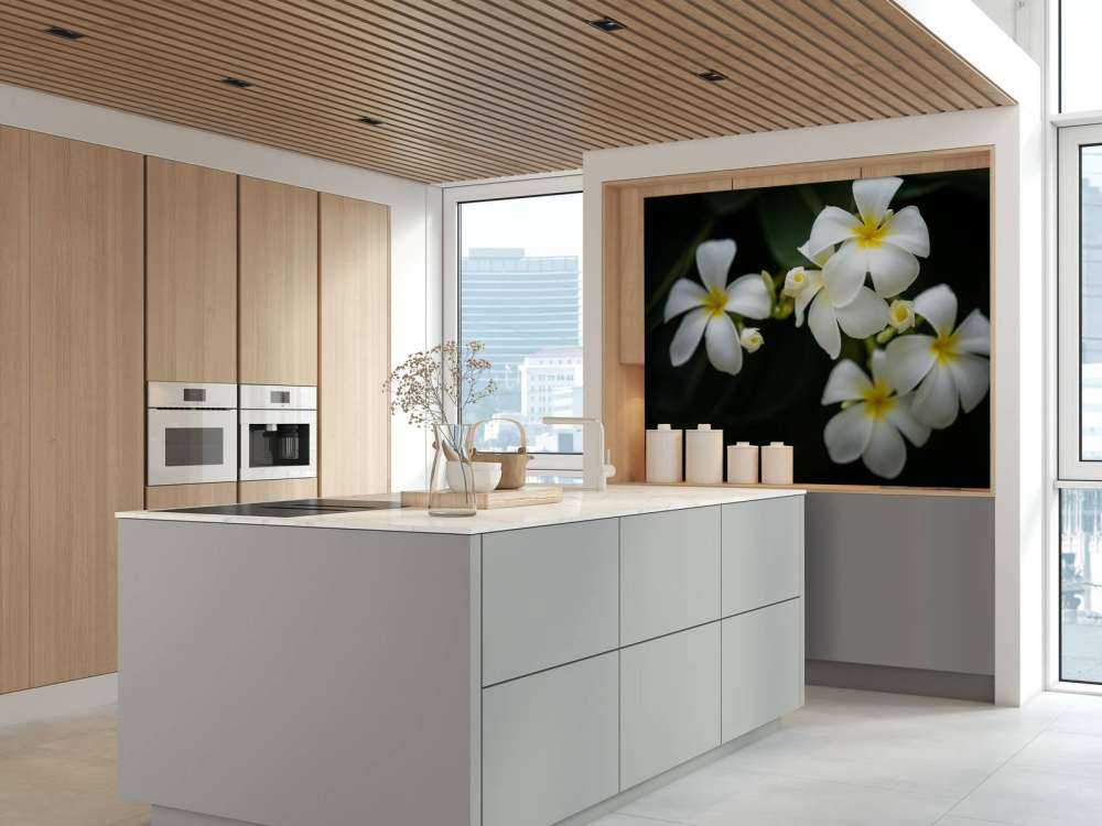 Primer plano de la Plumeria