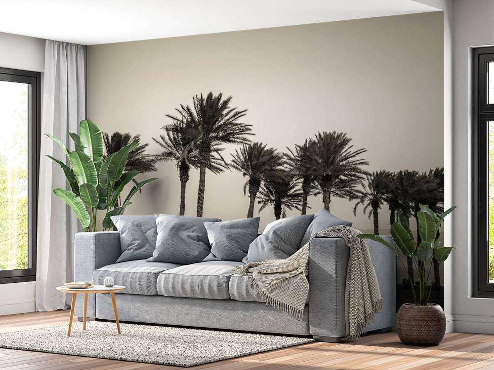Palmeras en blanco y negro