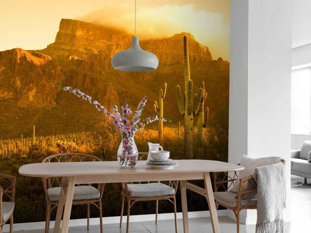 Desierto con cactus