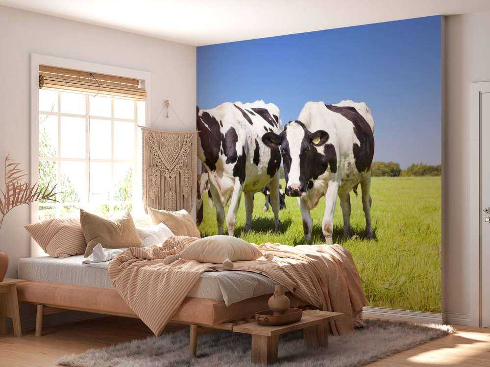 Foto empapelado vacas
