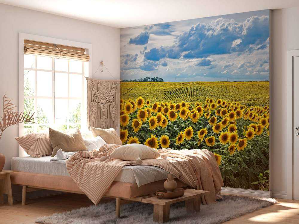 Pradera llena de girasoles