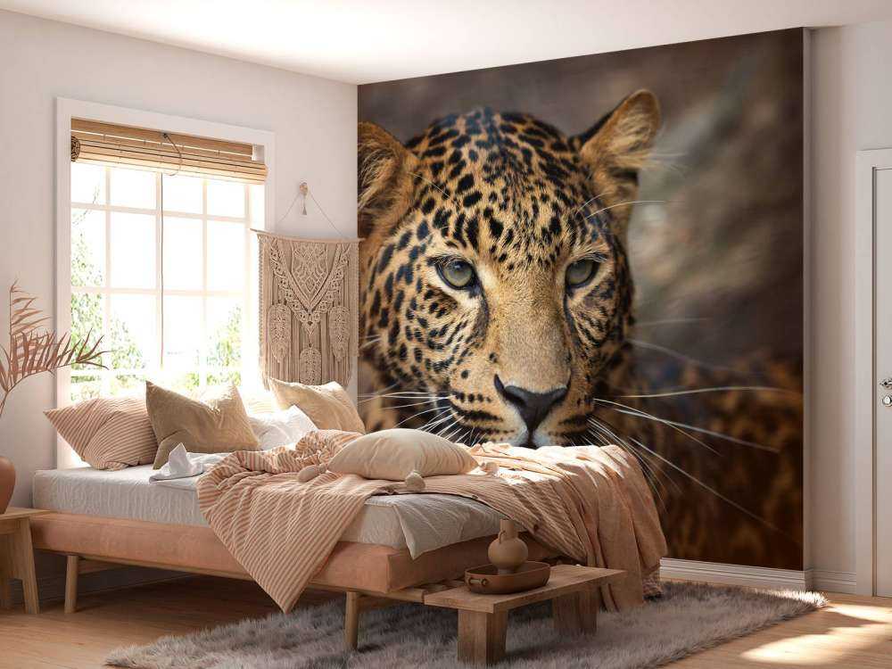 Primer plano de un leopardo