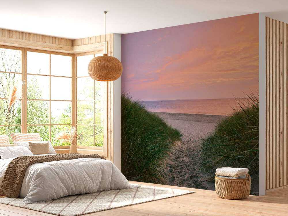 Paso de dunas al amanecer
