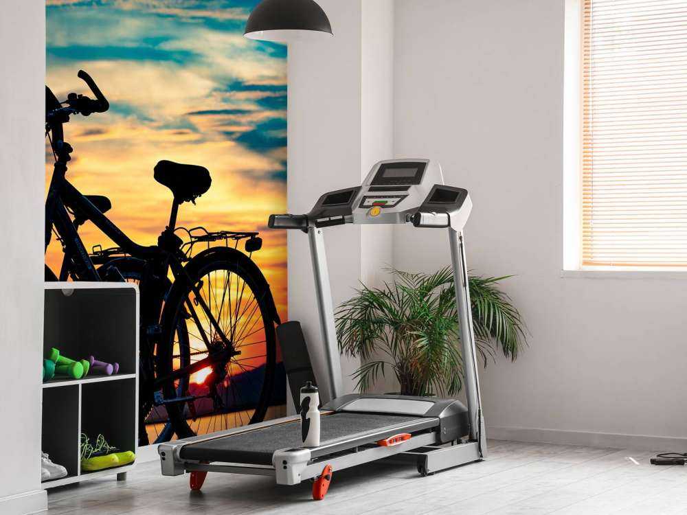Ciclismo al atardecer
