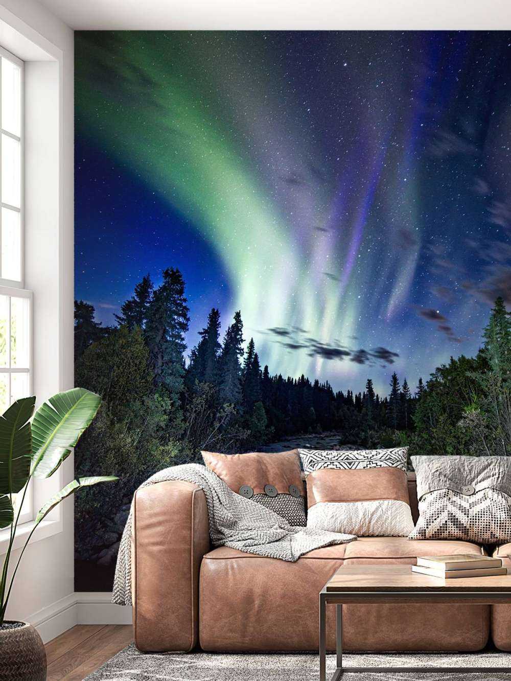 Stream durante la aurora boreal