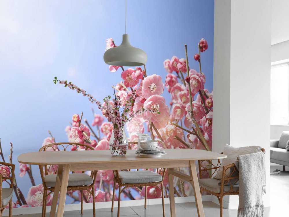 Flores con cielo azul