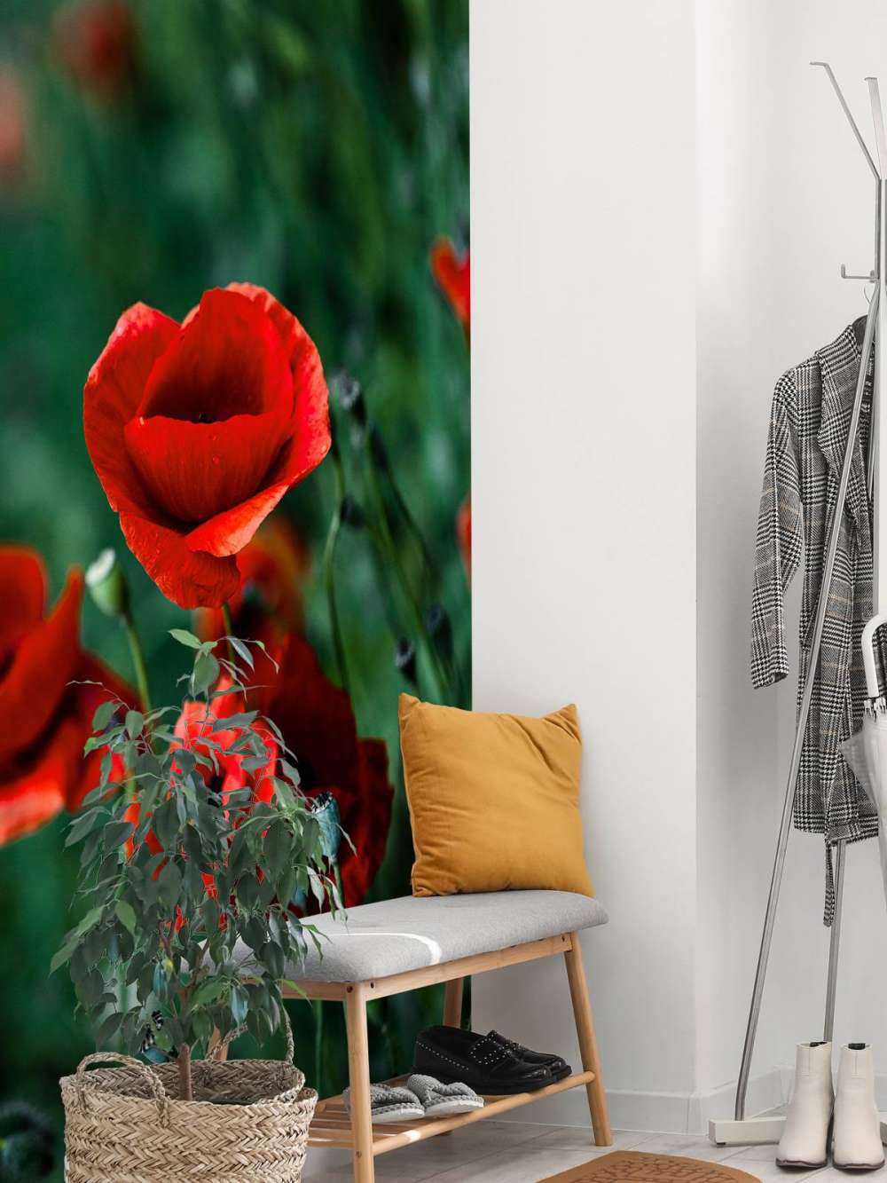 Amapolas y hierba