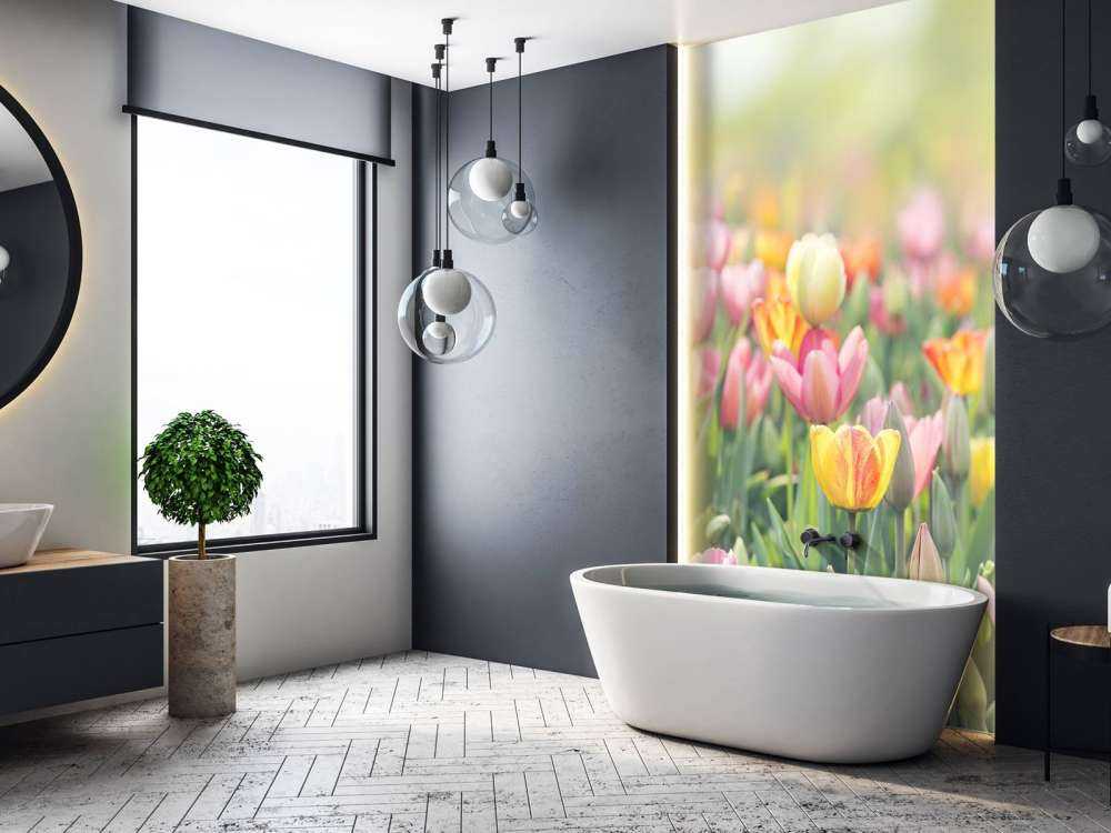 Tulipanes de colores