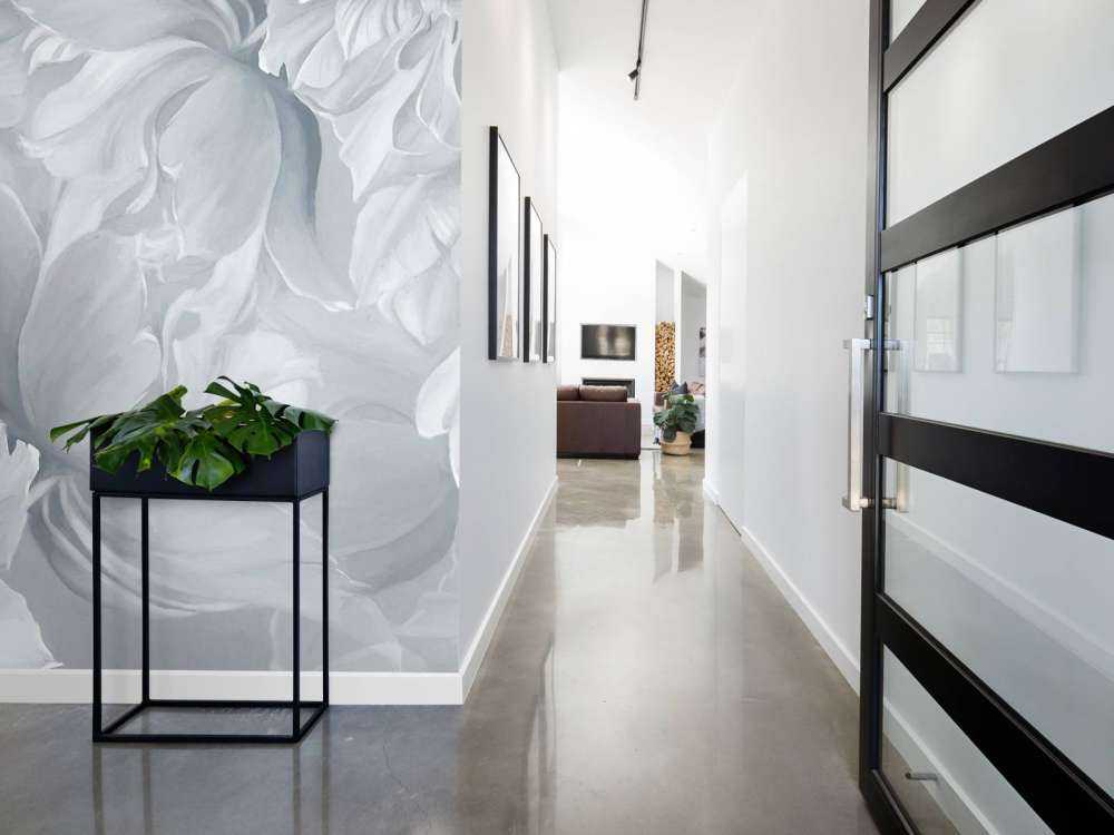 Tulipanes Grandes Blancos