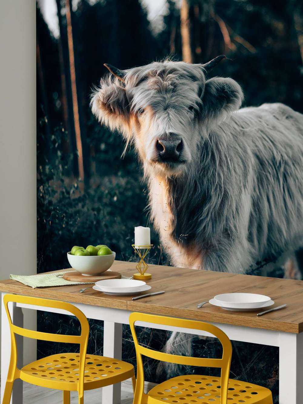 Cachorro de Highlander escocés