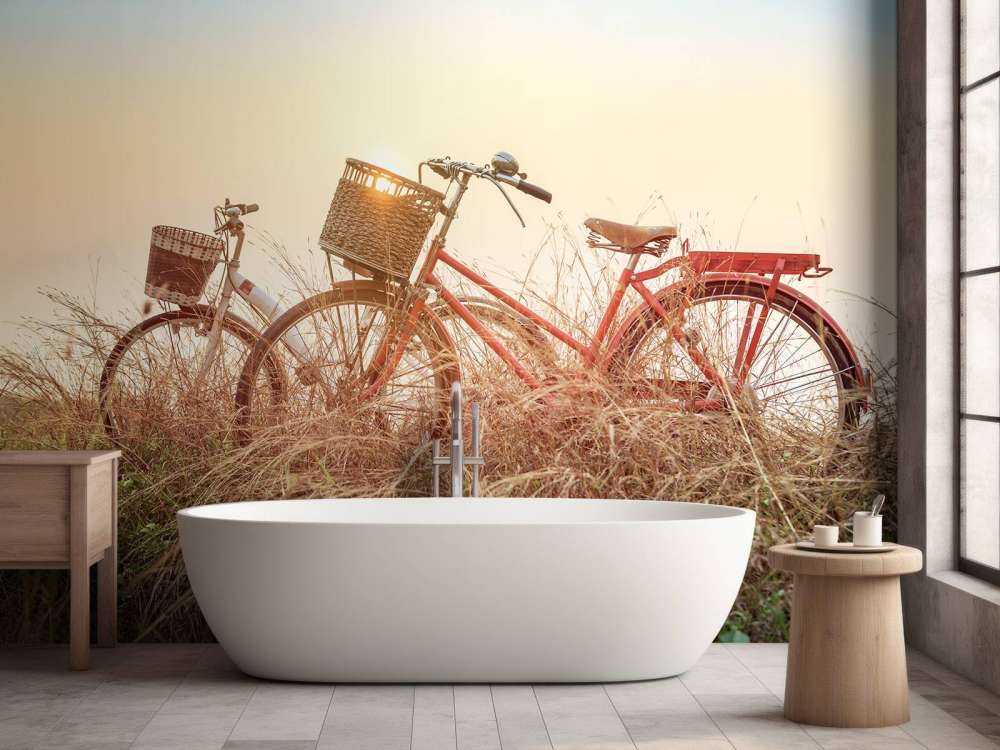 Bicicletas antiguas