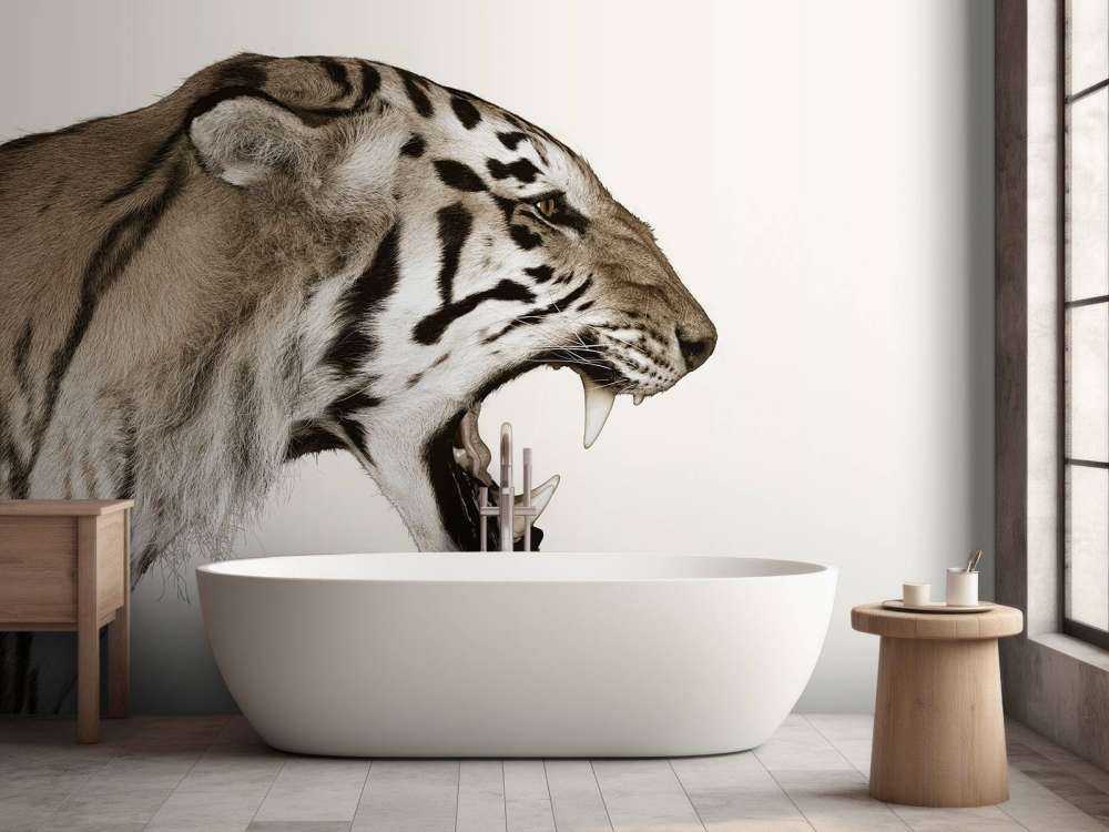 Tigre rugiente blanco hueso