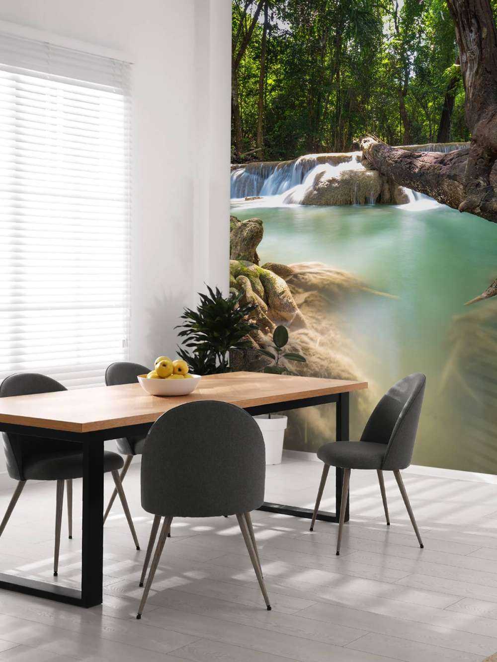 Cascada en la selva
