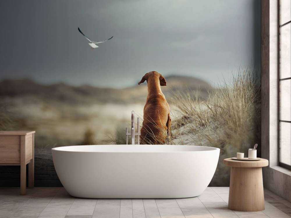 Libertad