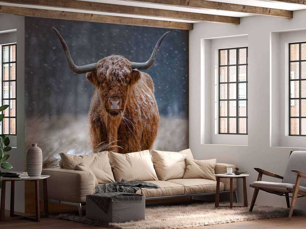 Vaca nevada de las Tierras Altas