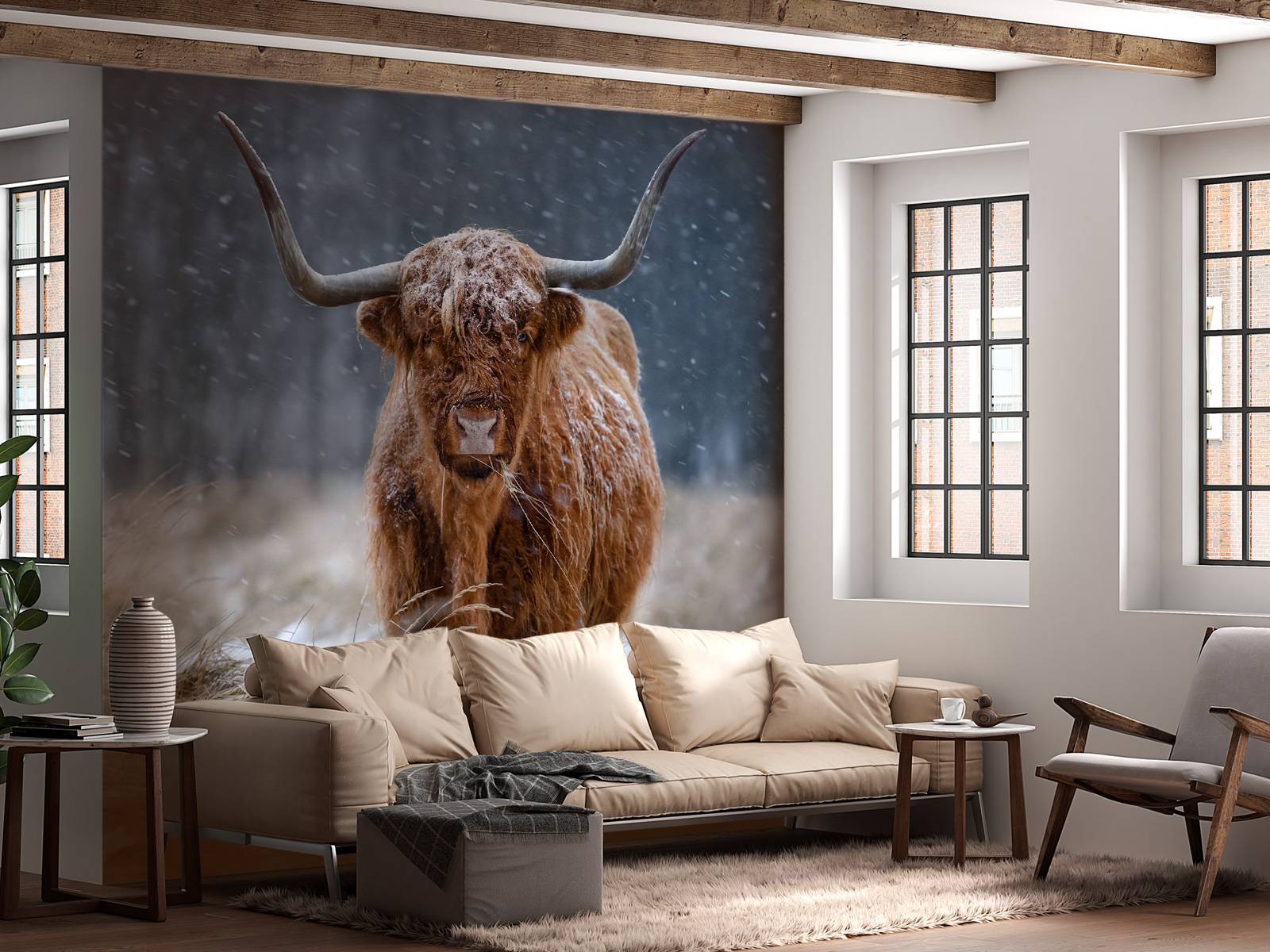 Lienzo Decorativo Para Pared De Vaca De Las Tierras Altas, Imágenes De