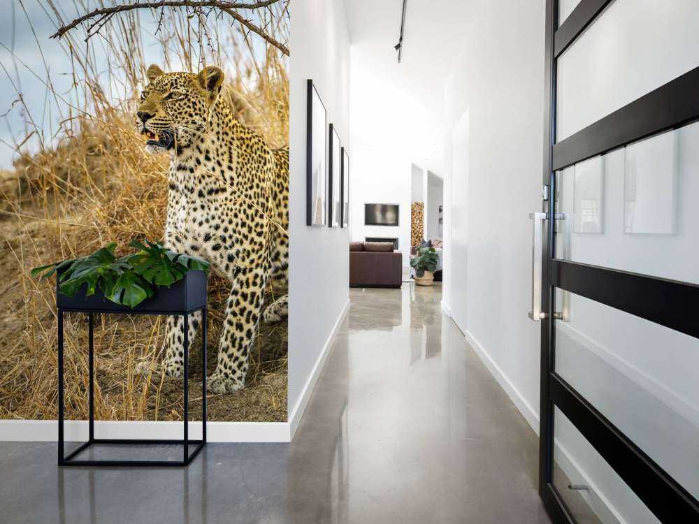 Leopardo al acecho