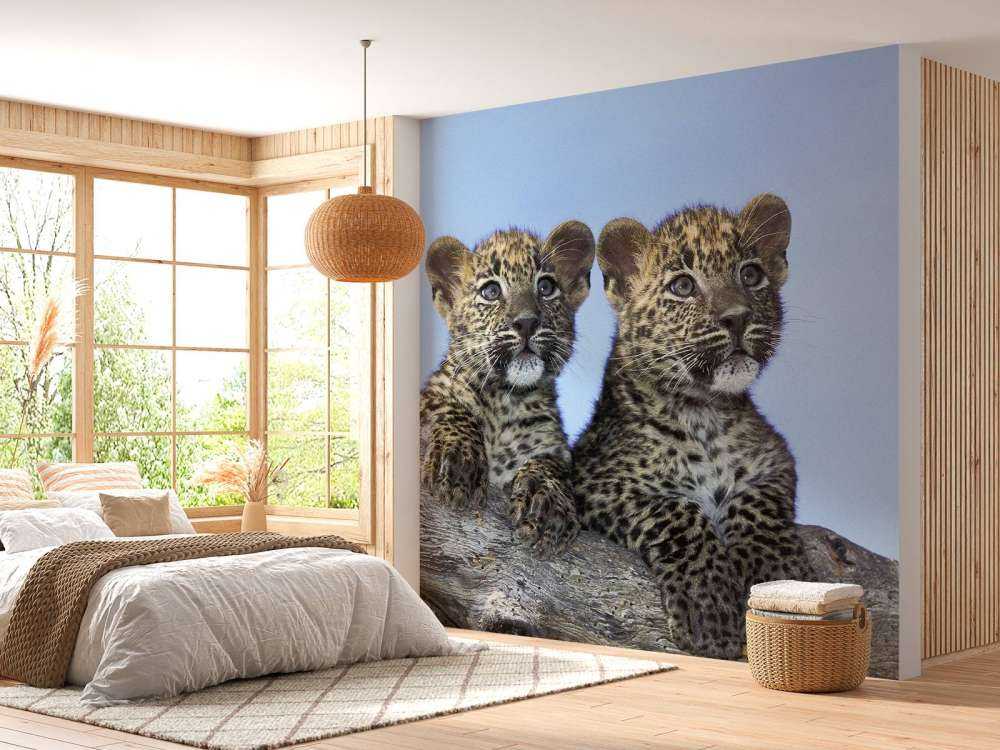 Pequeños leopardos