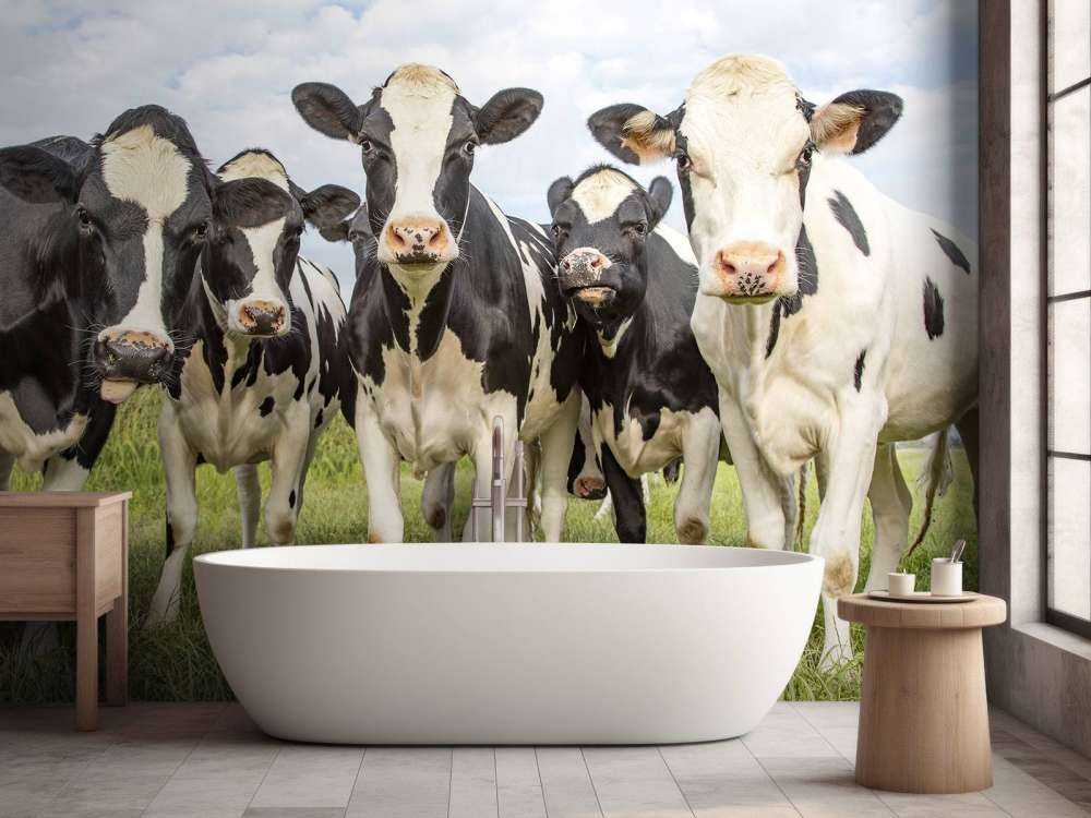 Rebaño con vacas