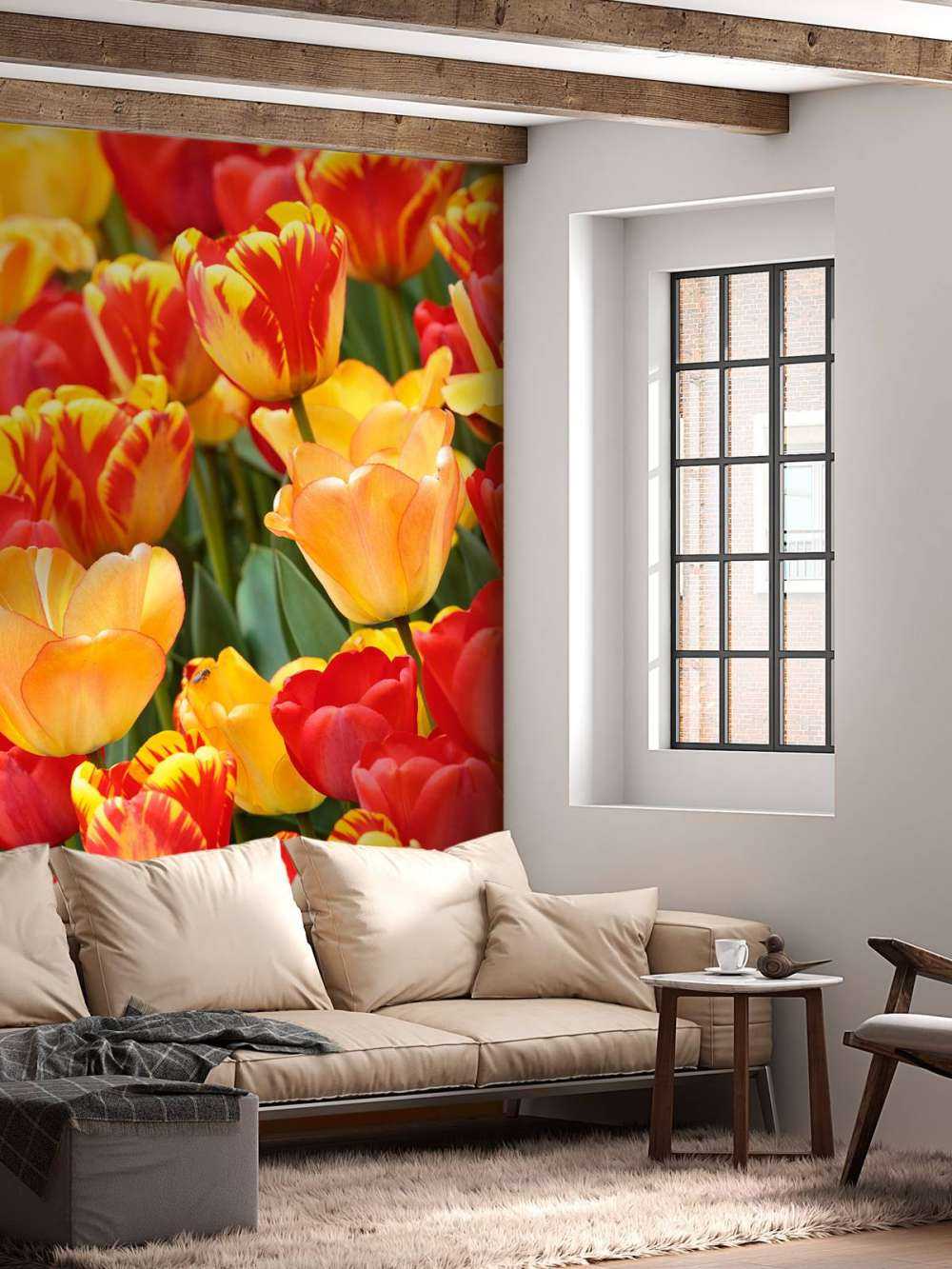 Tulipanes de colores