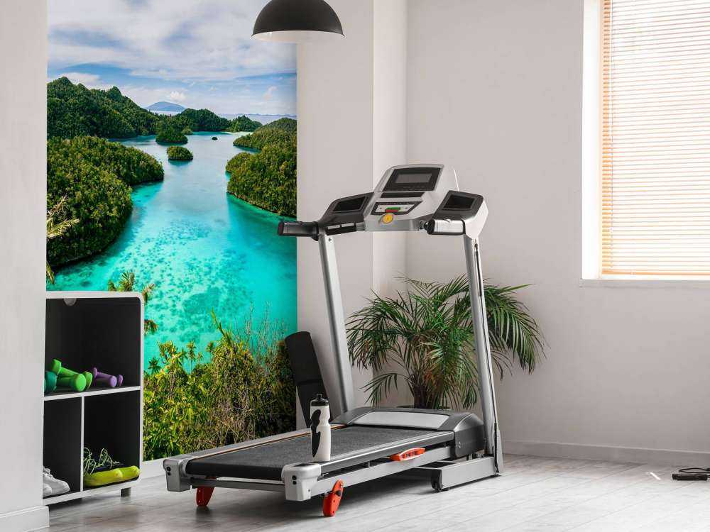 Lagunas tropicales
