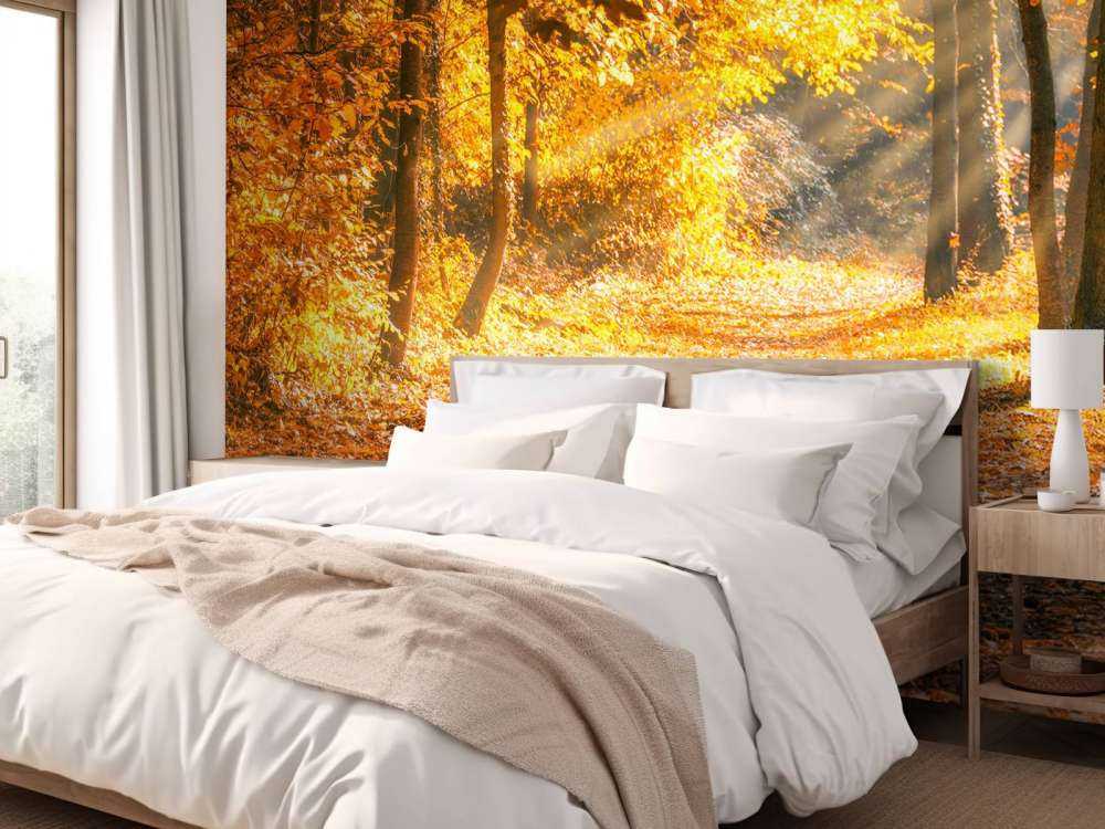 Panorama en otoño