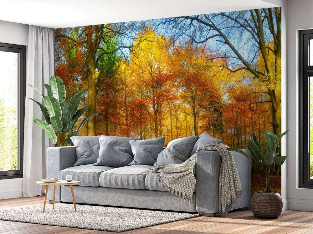 Panorama de un bosque colorido