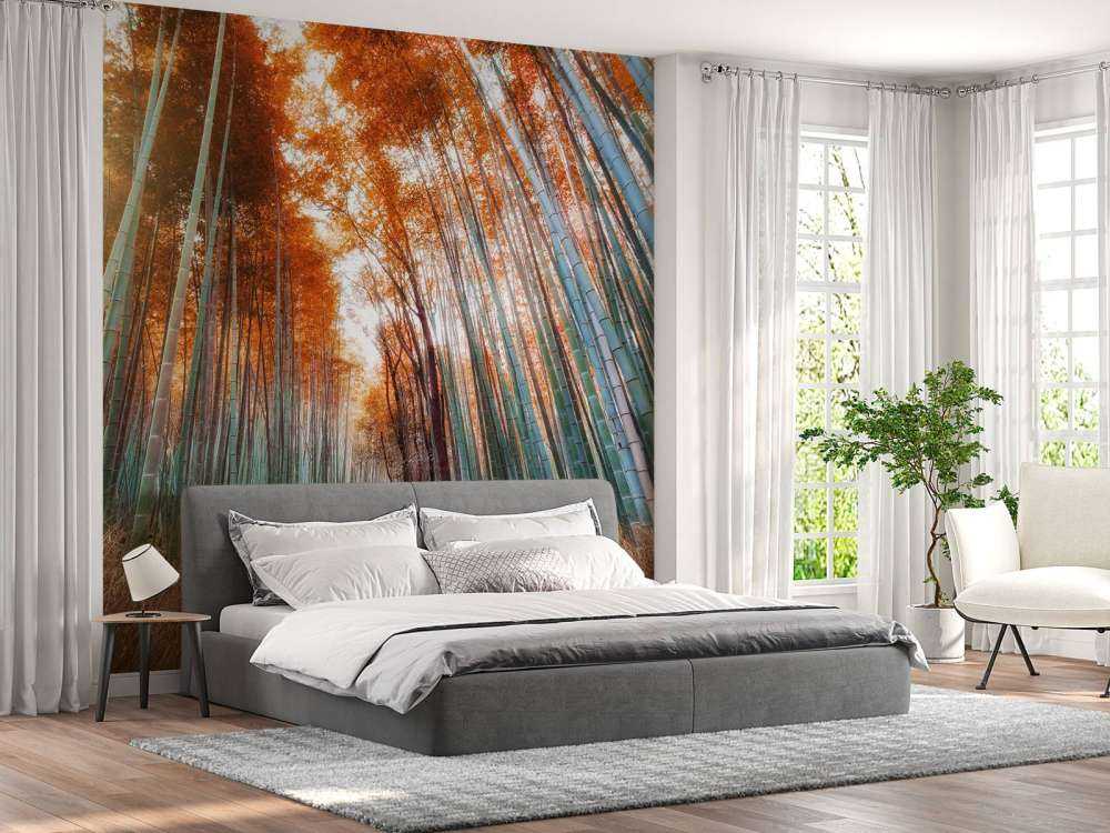 Bosque de bambú otoñal