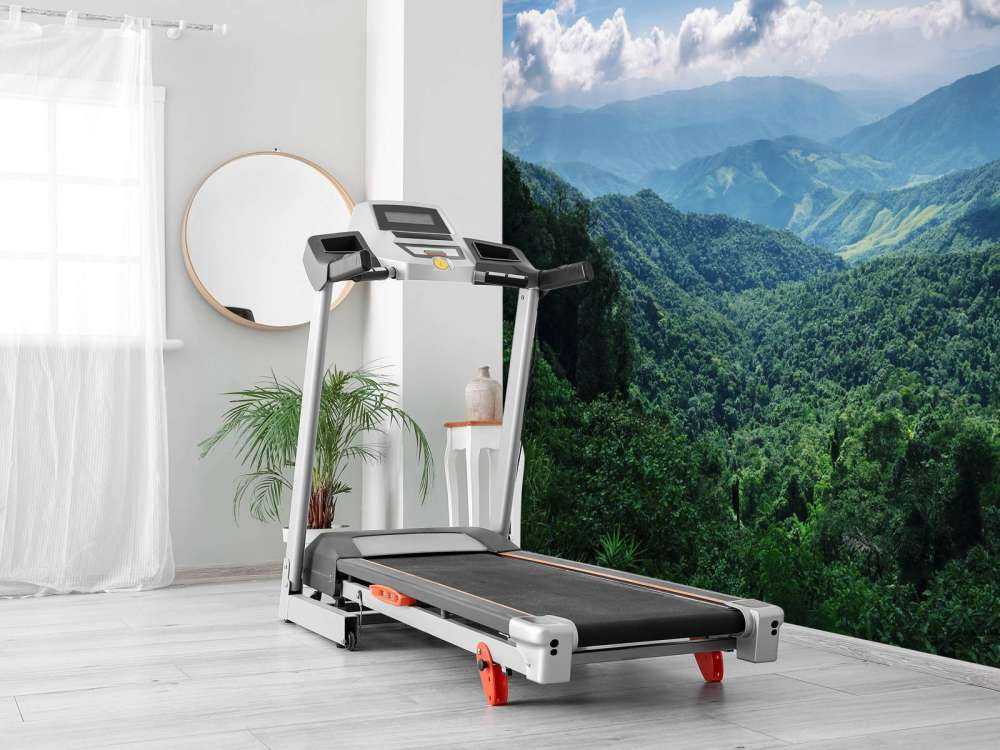 Bosque tropical verde