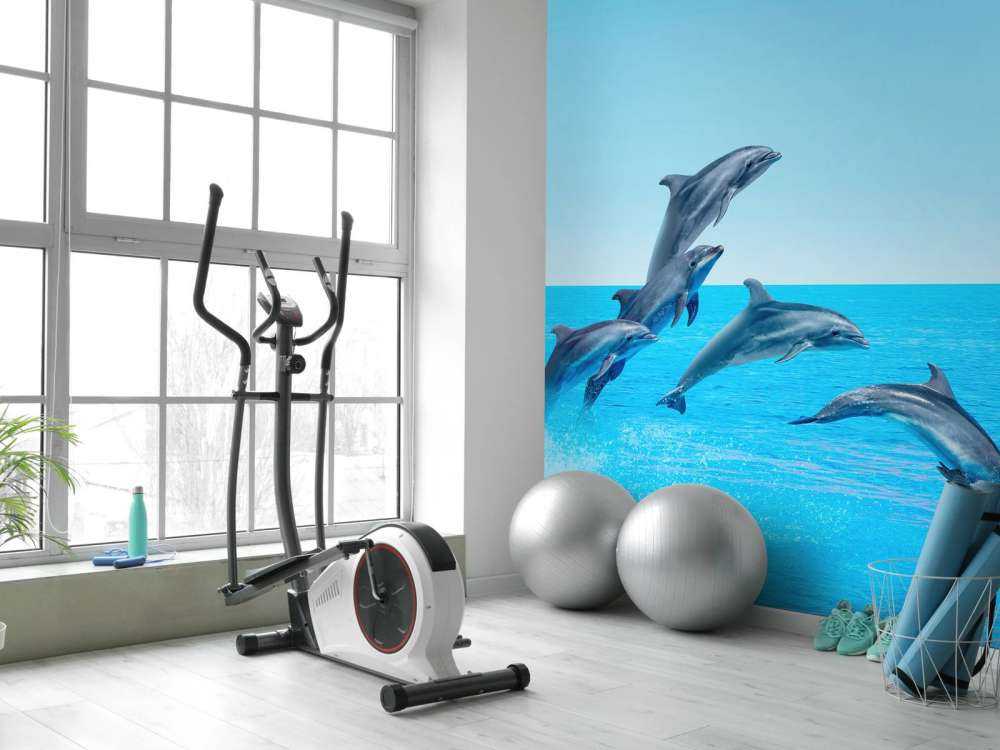 Delfines saltarines
