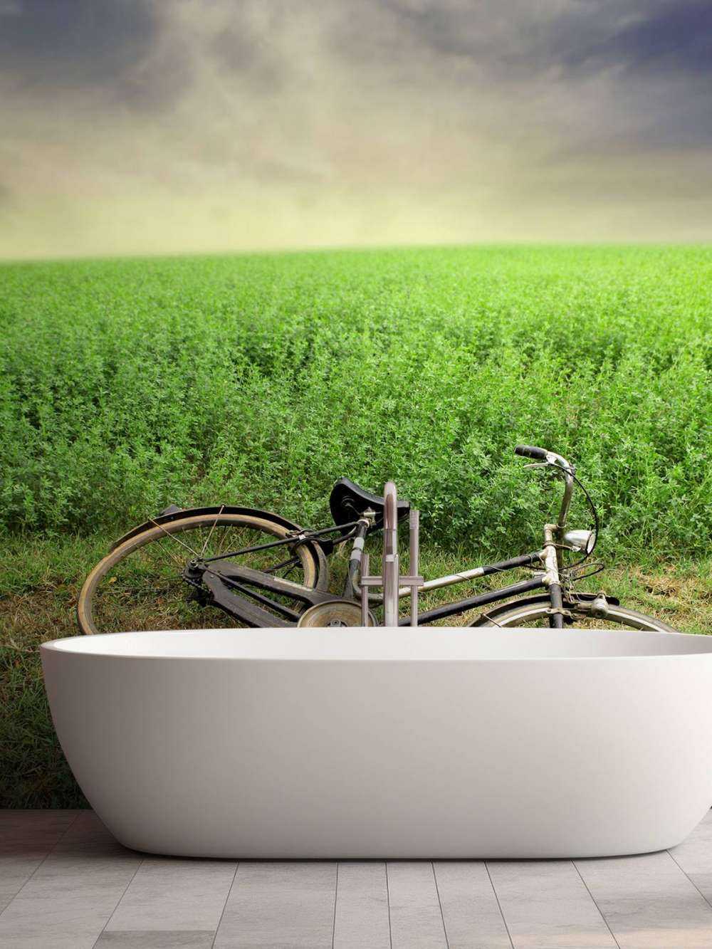 Bicicleta antigua
