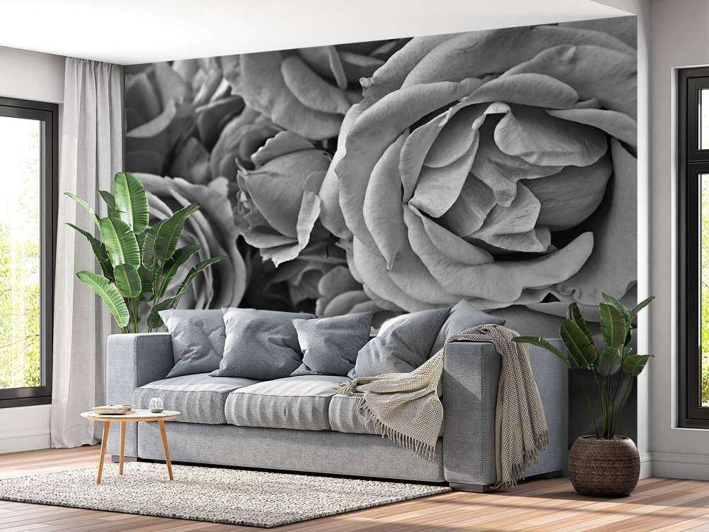 Rosas blancas y negras