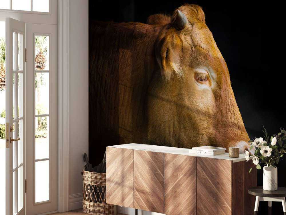 Cabeza de toro