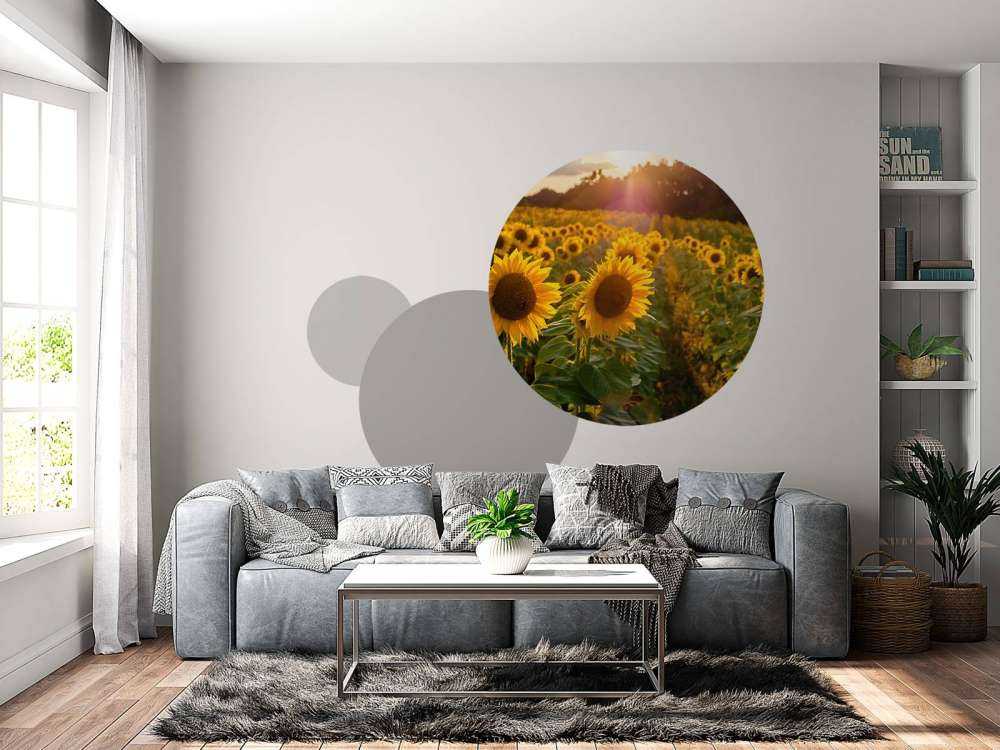 Granja de girasoles