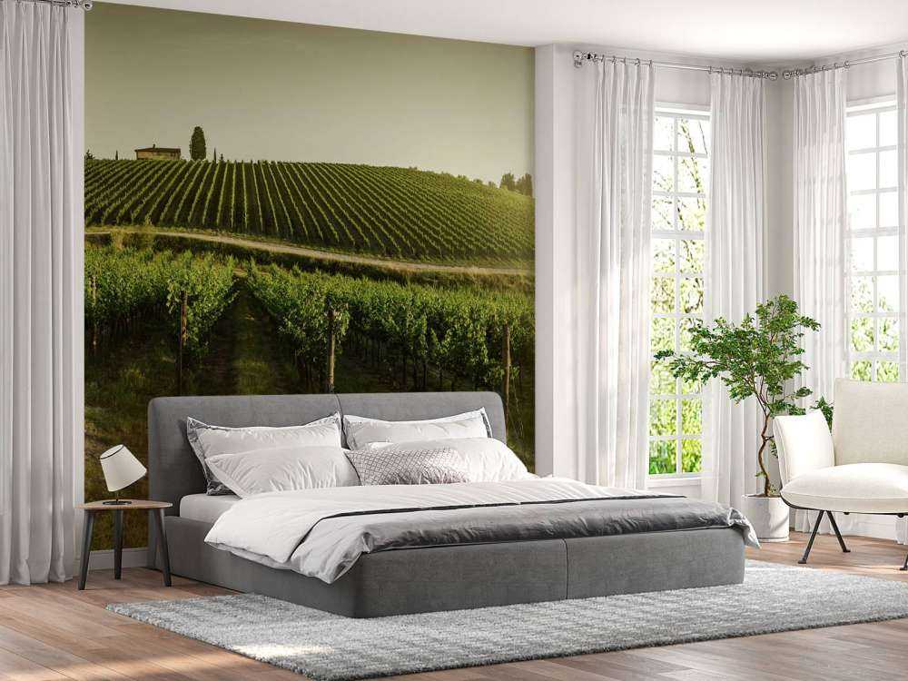 Viñedo de la Toscana