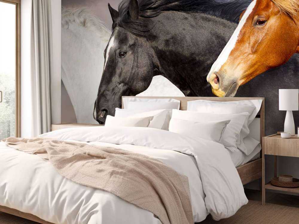 Manada de caballos