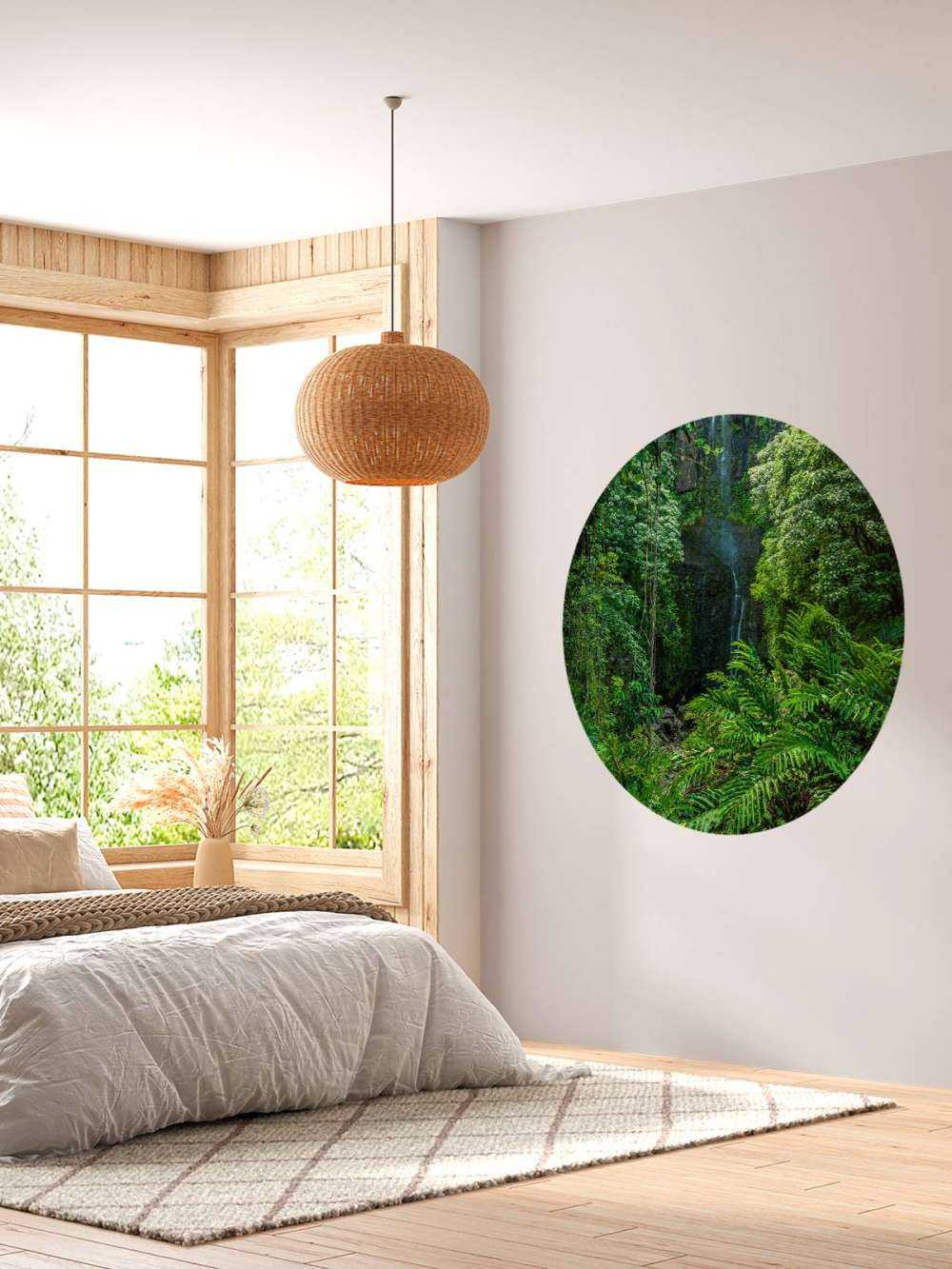 Selva y piedras