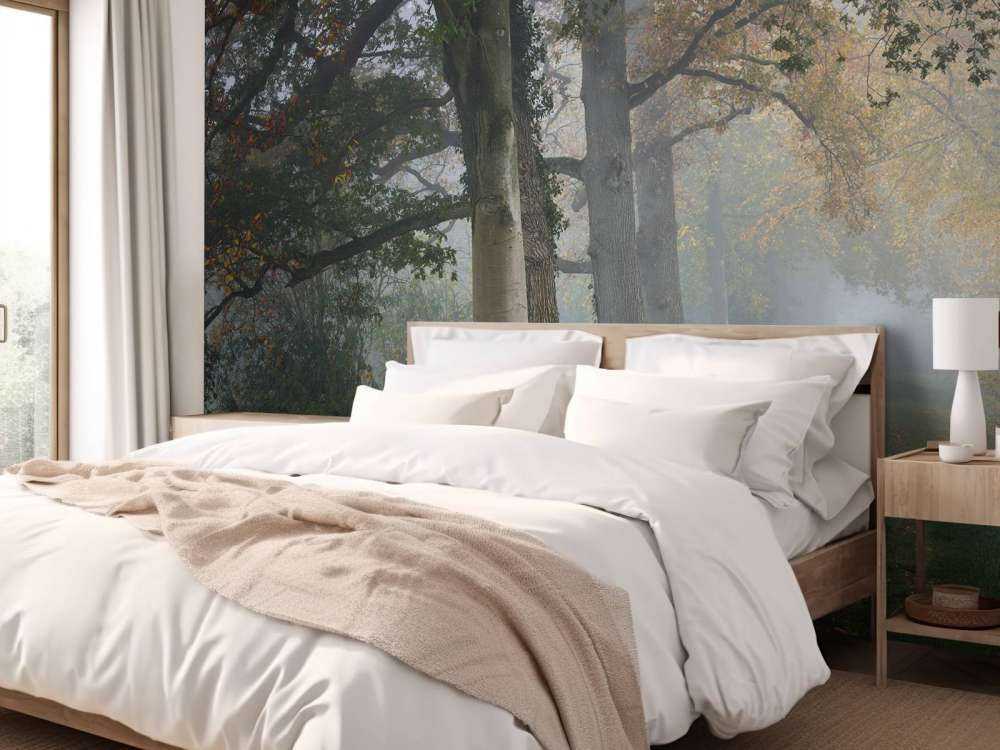 Carril con árboles en la niebla