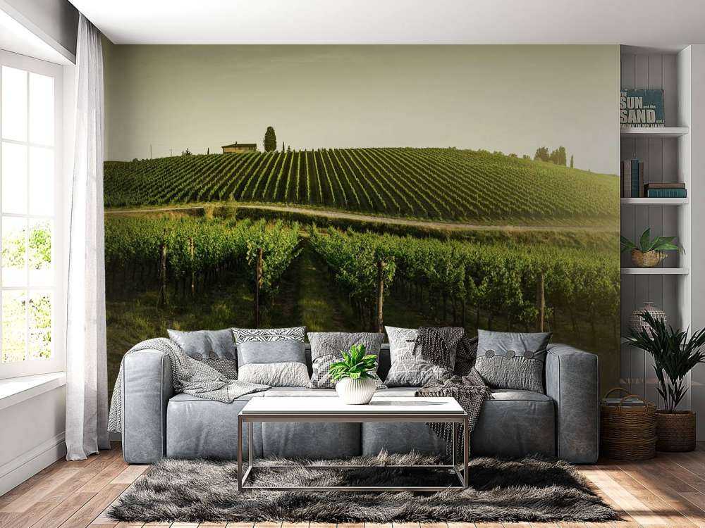 Viñedo de la Toscana