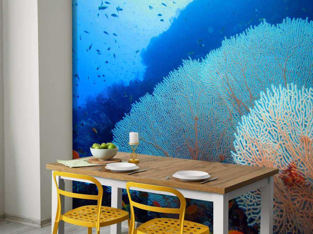Coral con peces