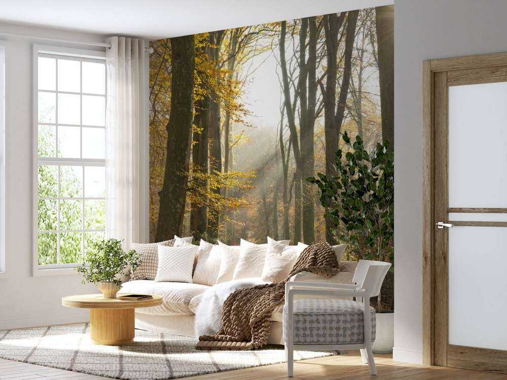 El bosque de Crécy