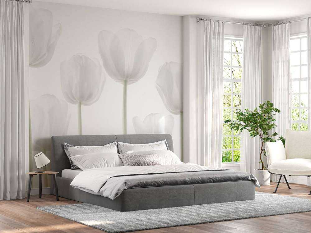Tulipanes blancos