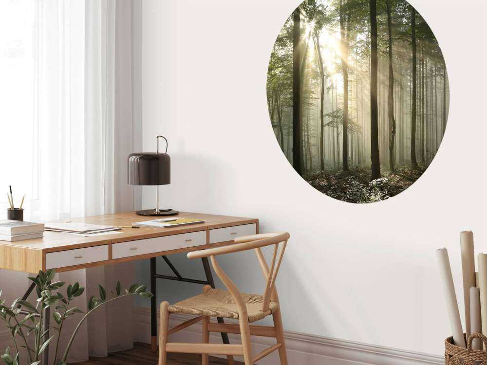 Bosque caducifolio otoñal