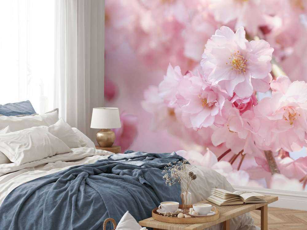 Primer plano de las flores rosas