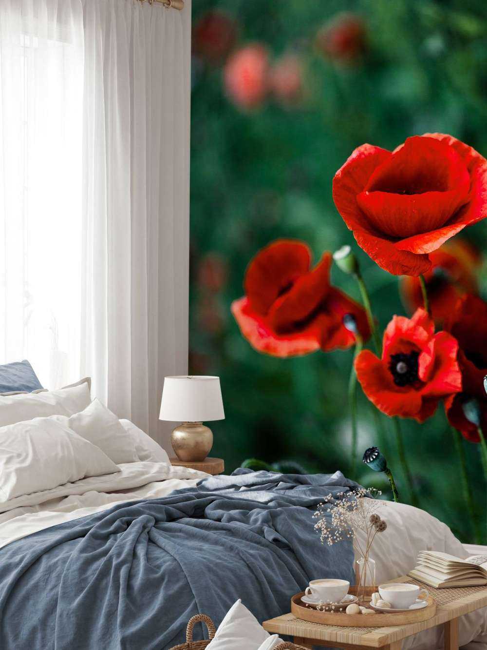 Amapolas y hierba