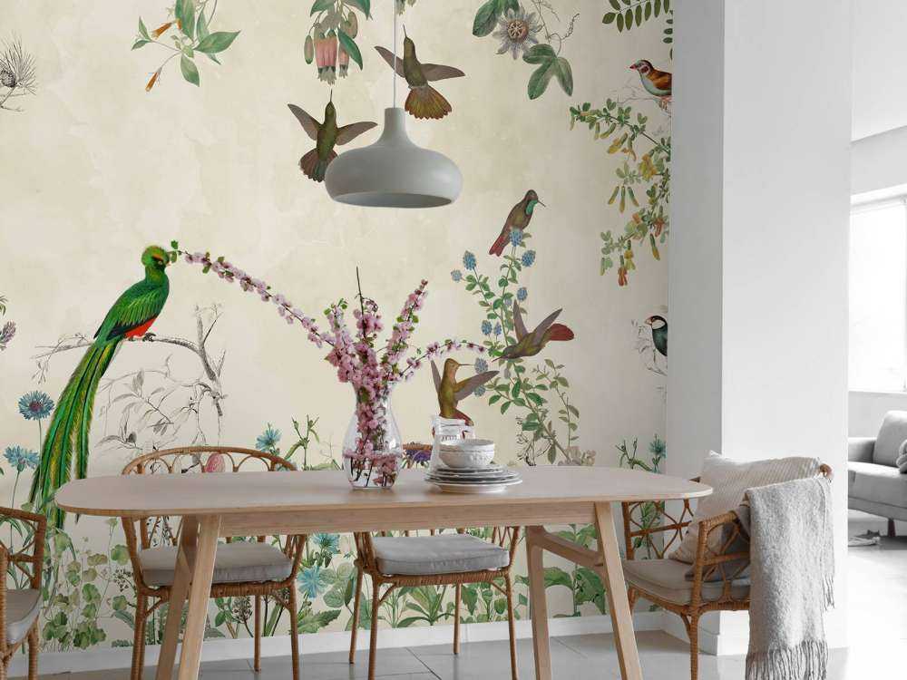 Campos de Aves Coloridas