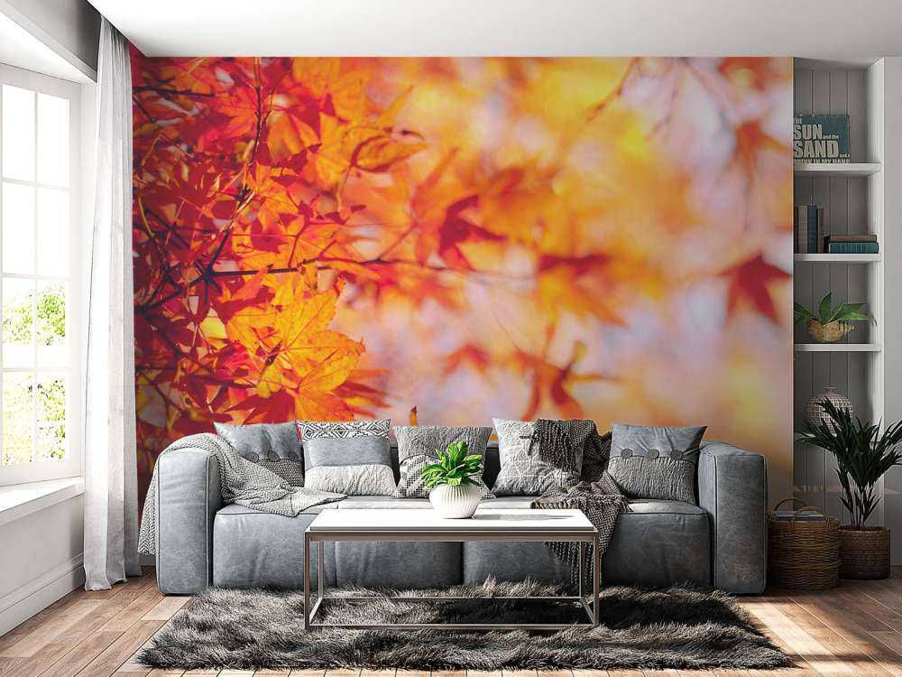 Hojas de otoño