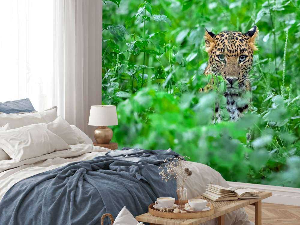 Leopardo en el bosque
