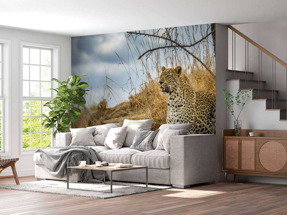 Leopardo al acecho